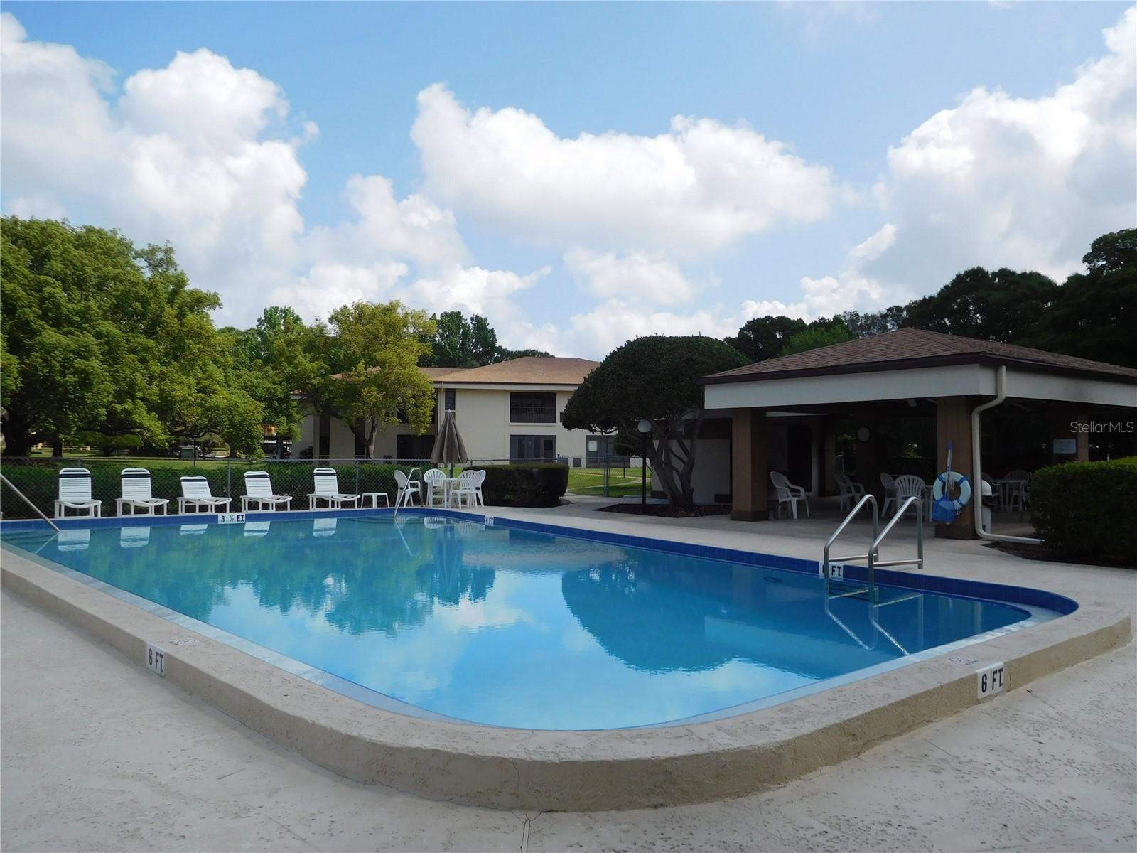 2700 NEBRASKA AVE #1-205, PALM HARBOR, FL, 34684