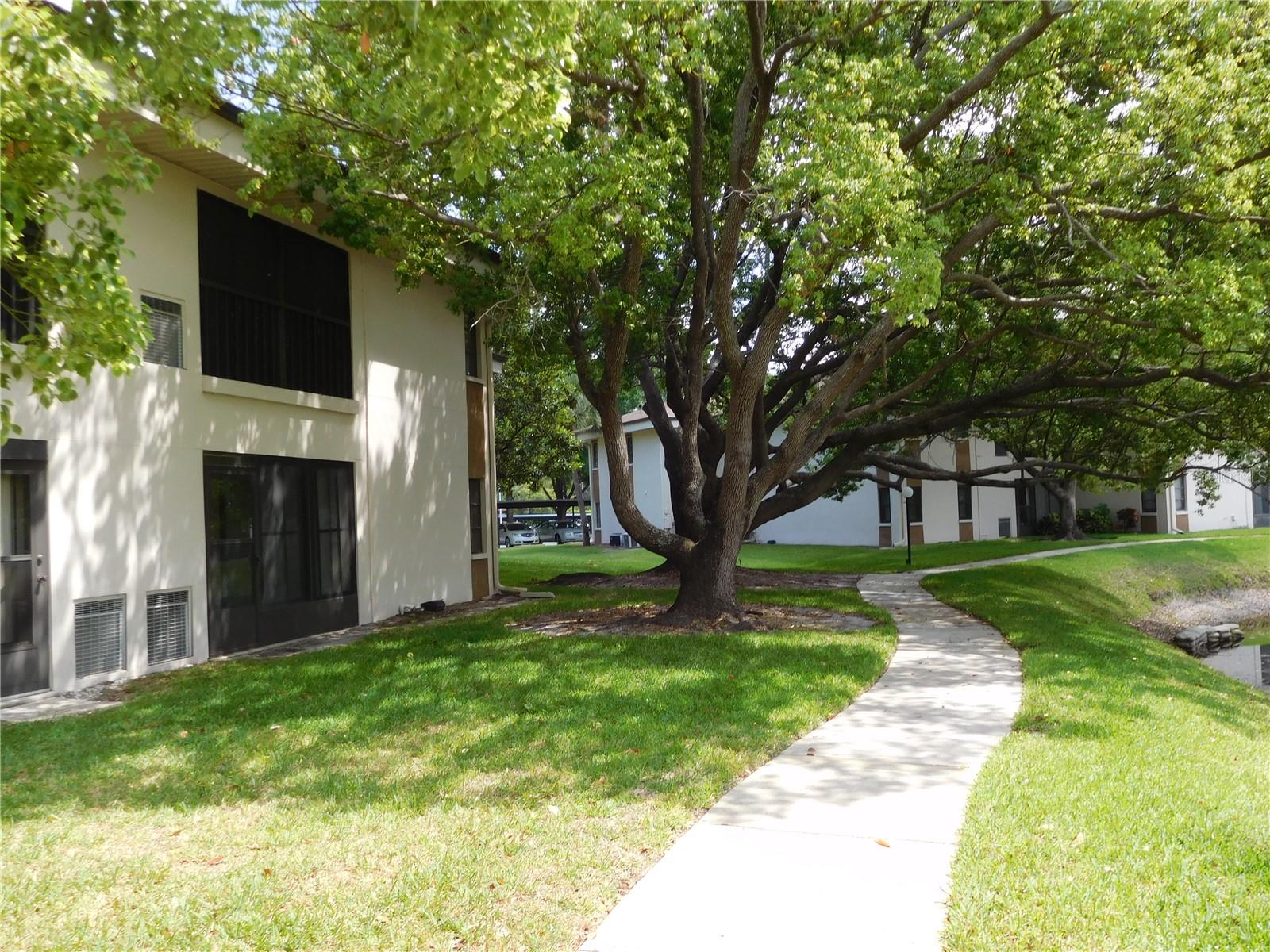 2700 NEBRASKA AVE #1-205, PALM HARBOR, FL, 34684