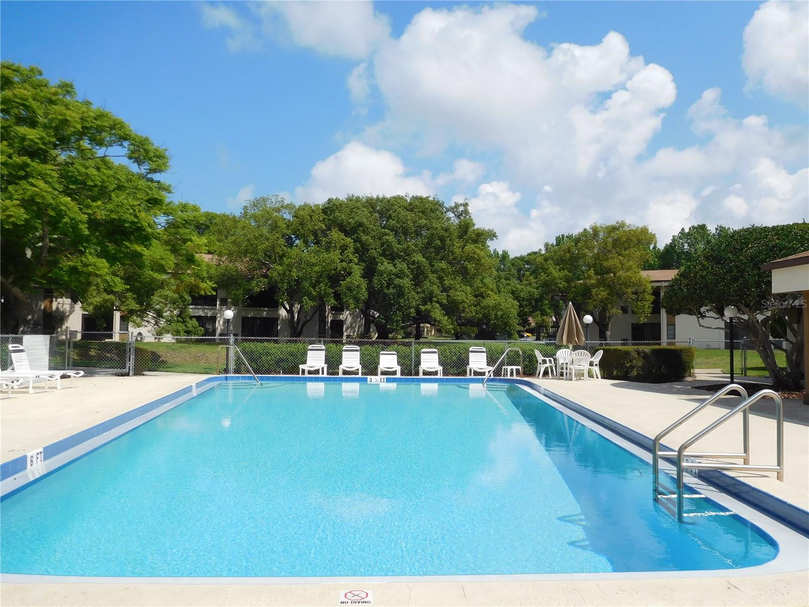 2700 NEBRASKA AVE #1-205, PALM HARBOR, FL, 34684