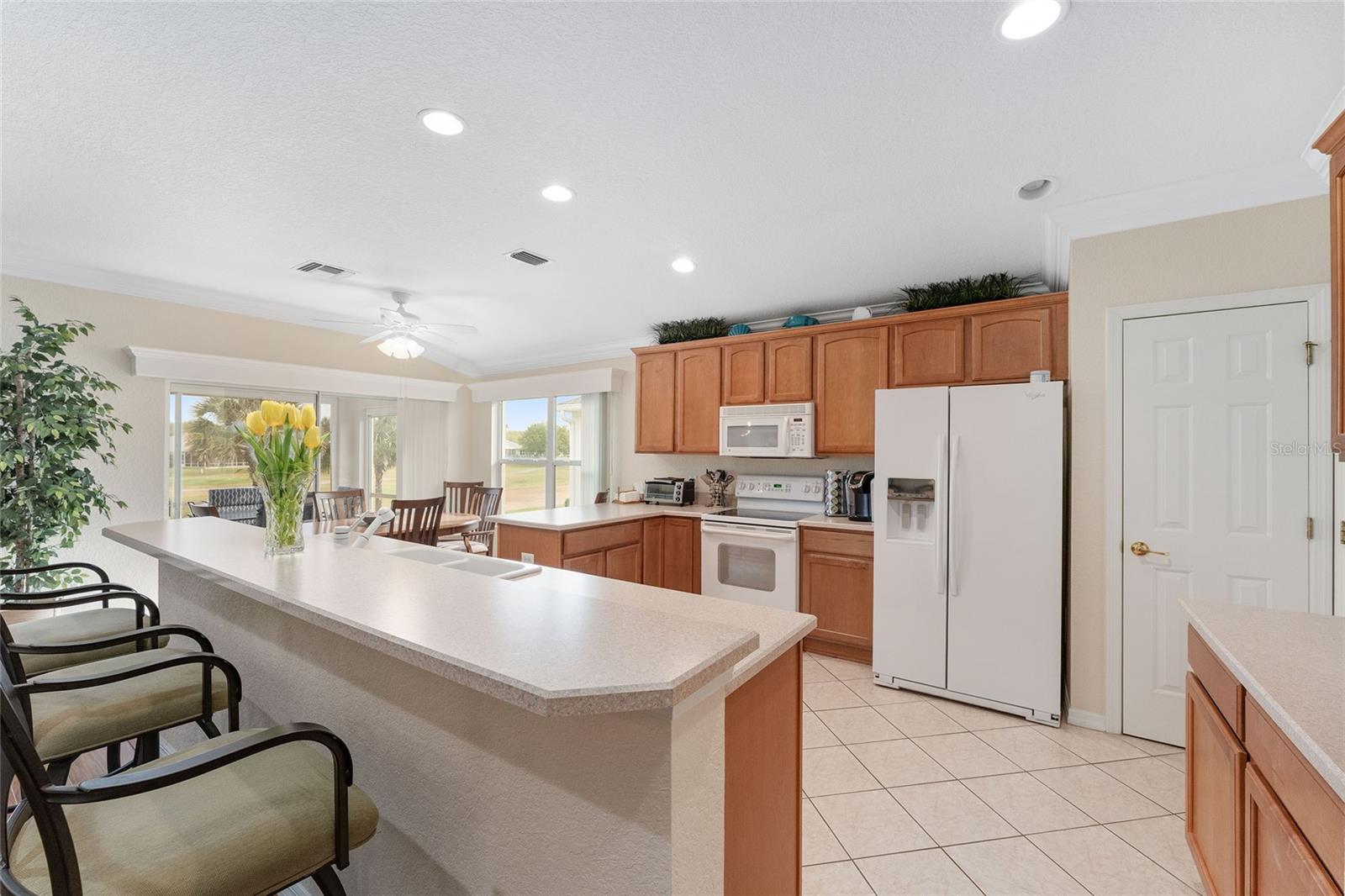 8837 SE 132ND LOOP, SUMMERFIELD, FL, 34491