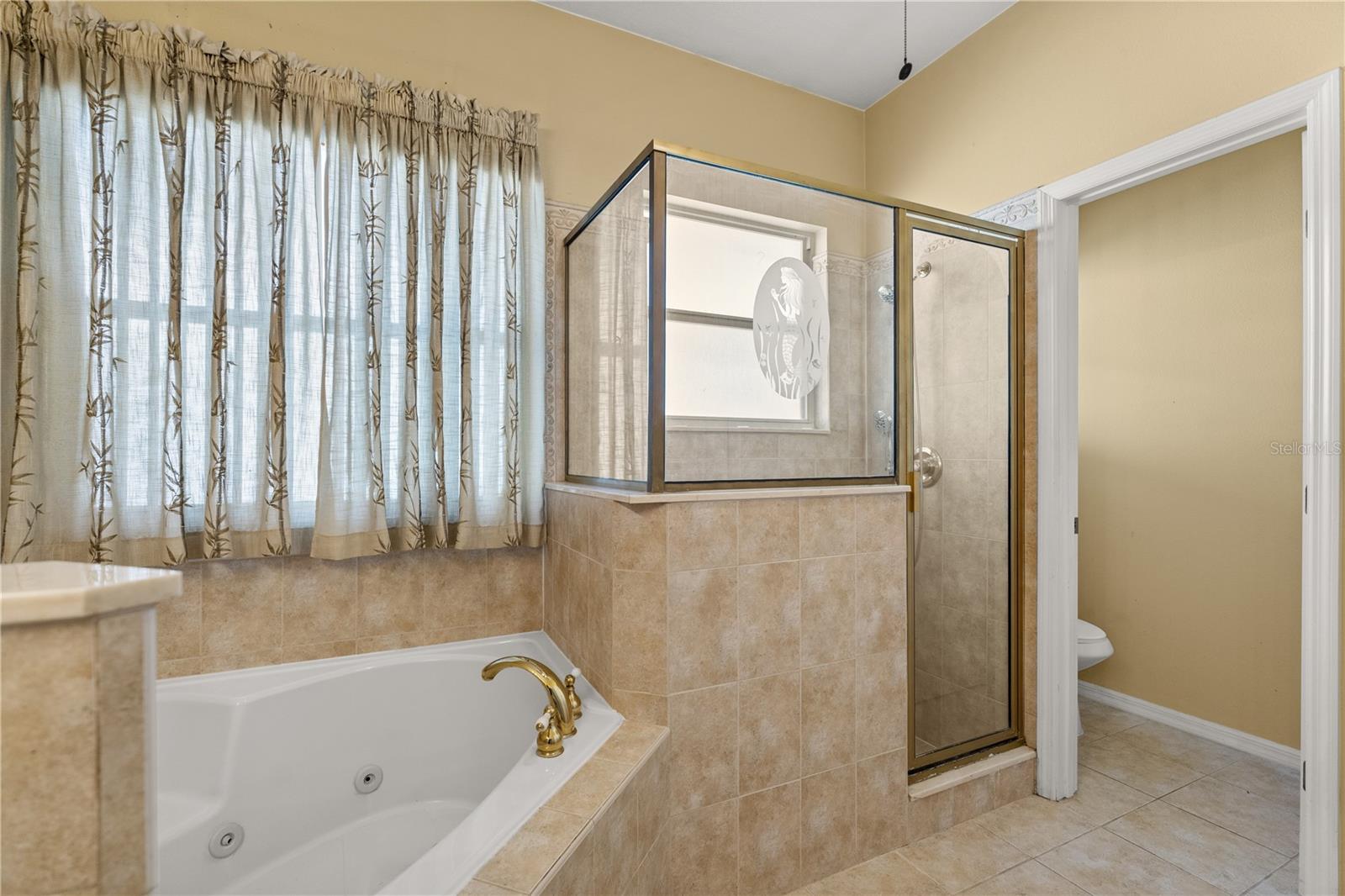 5335 CORAL VINE LN, KISSIMMEE, FL, 34758