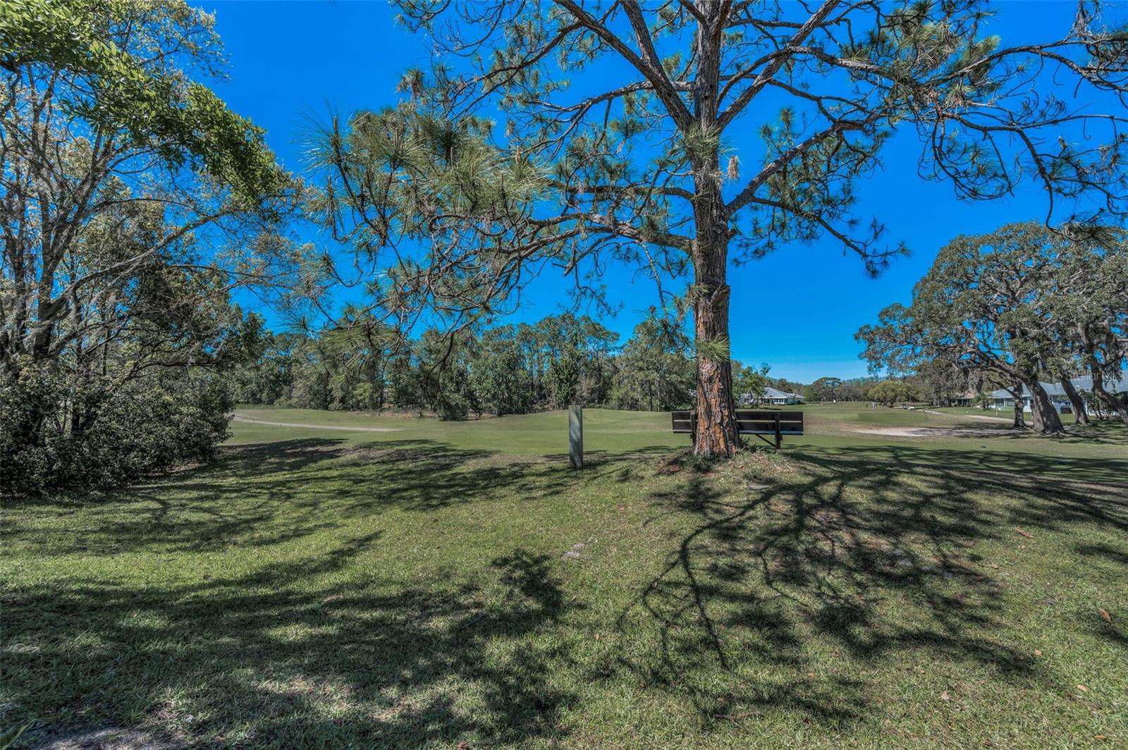 11719 FOXWORTH LN, NEW PORT RICHEY, FL, 34654