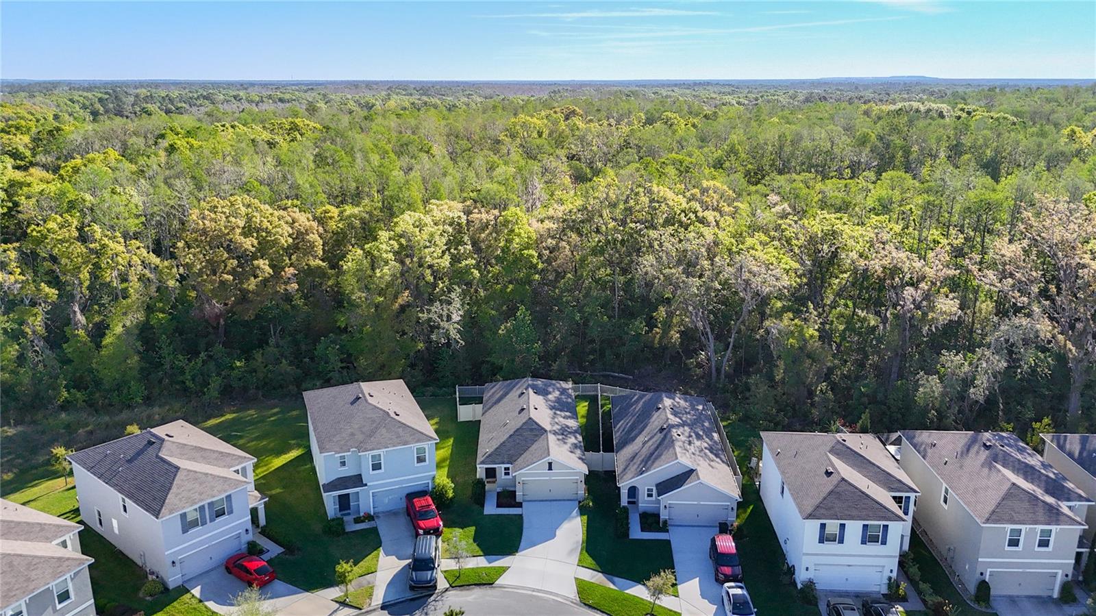 32779 BROOKS HAWK LN, WESLEY CHAPEL, FL, 33543