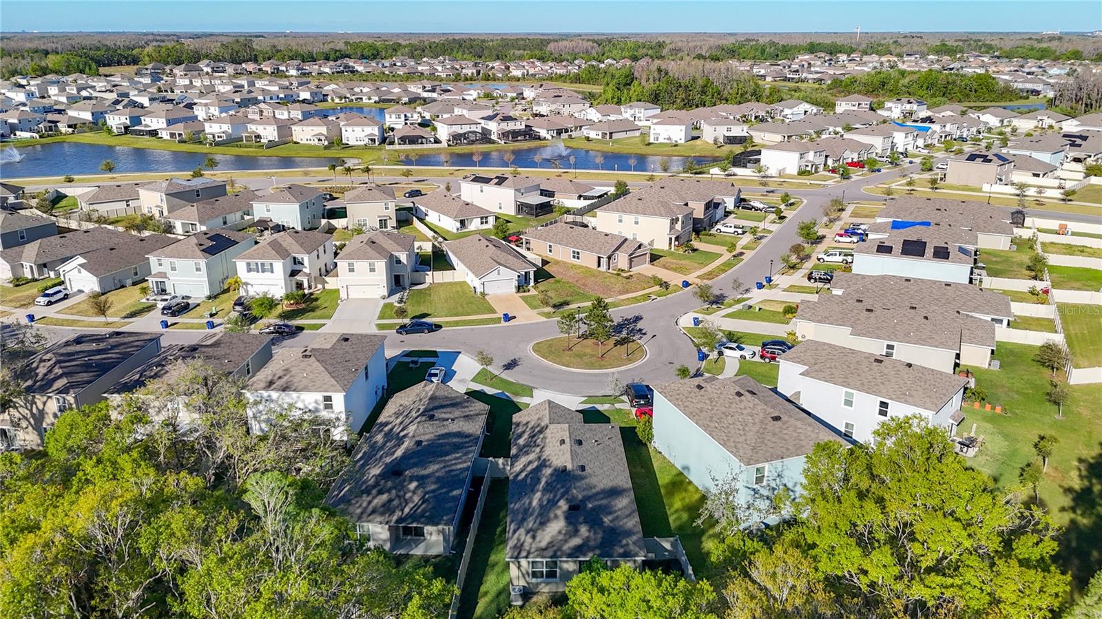 32779 BROOKS HAWK LN, WESLEY CHAPEL, FL, 33543