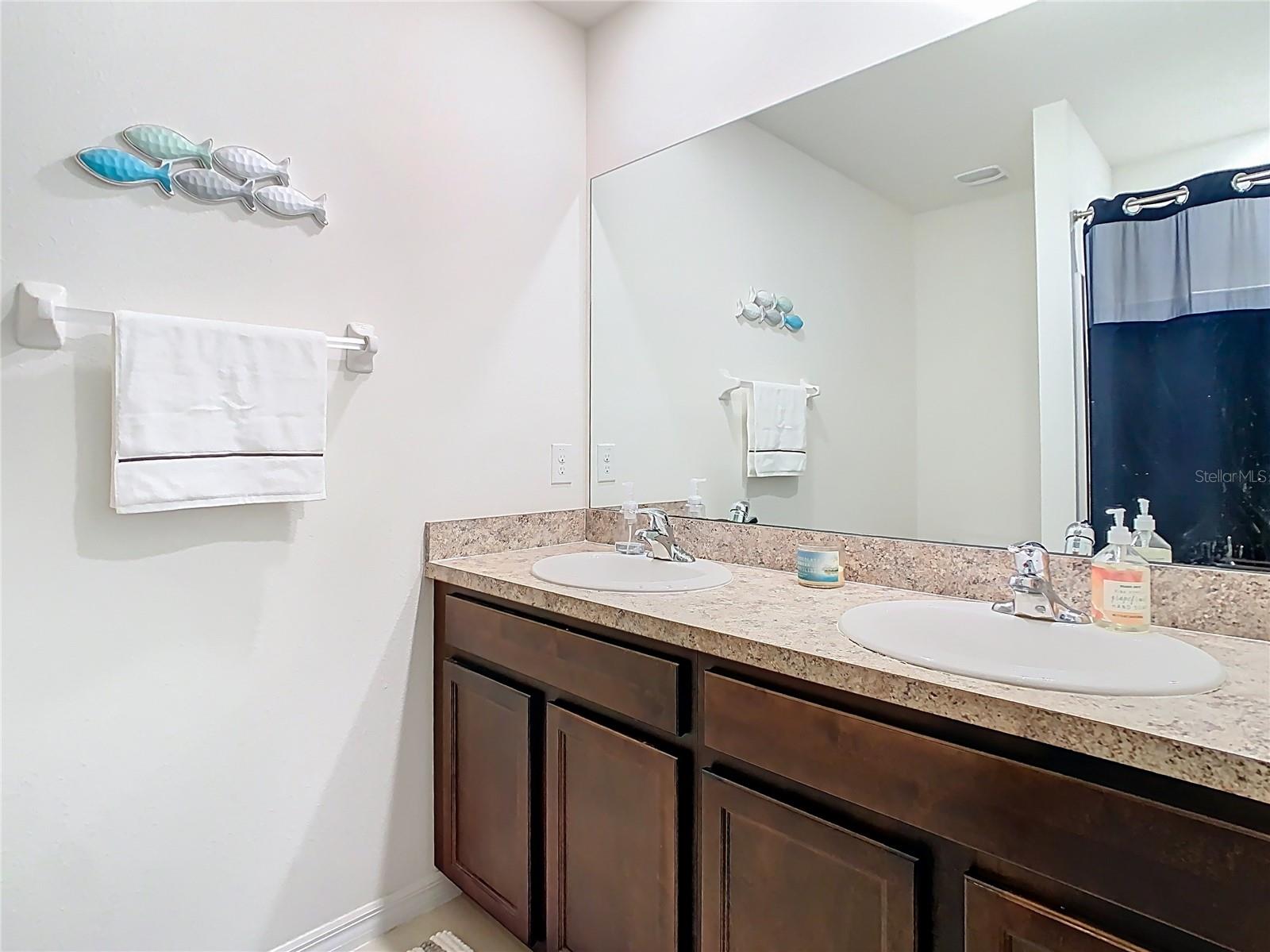 32779 BROOKS HAWK LN, WESLEY CHAPEL, FL, 33543