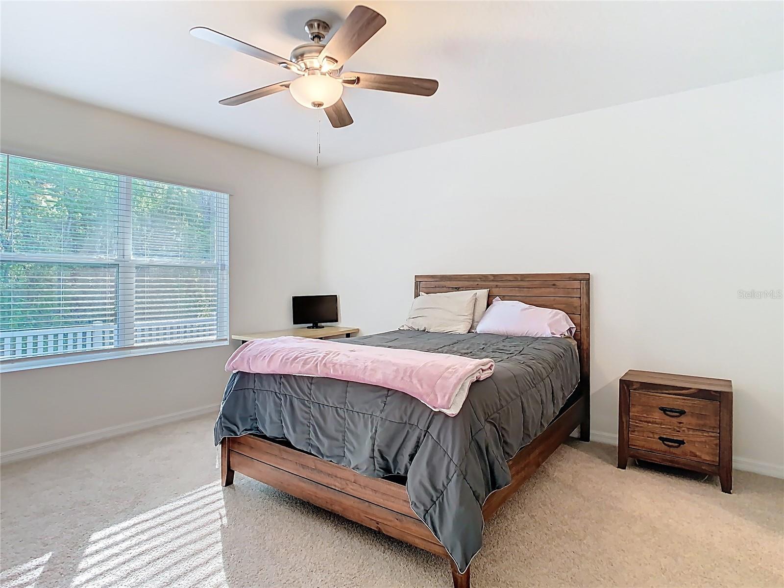 32779 BROOKS HAWK LN, WESLEY CHAPEL, FL, 33543