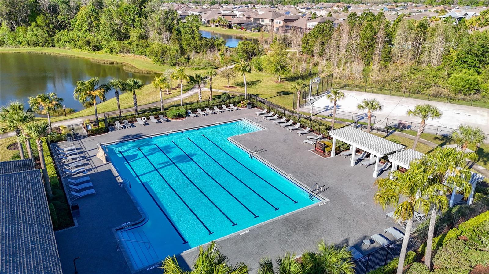 32779 BROOKS HAWK LN, WESLEY CHAPEL, FL, 33543