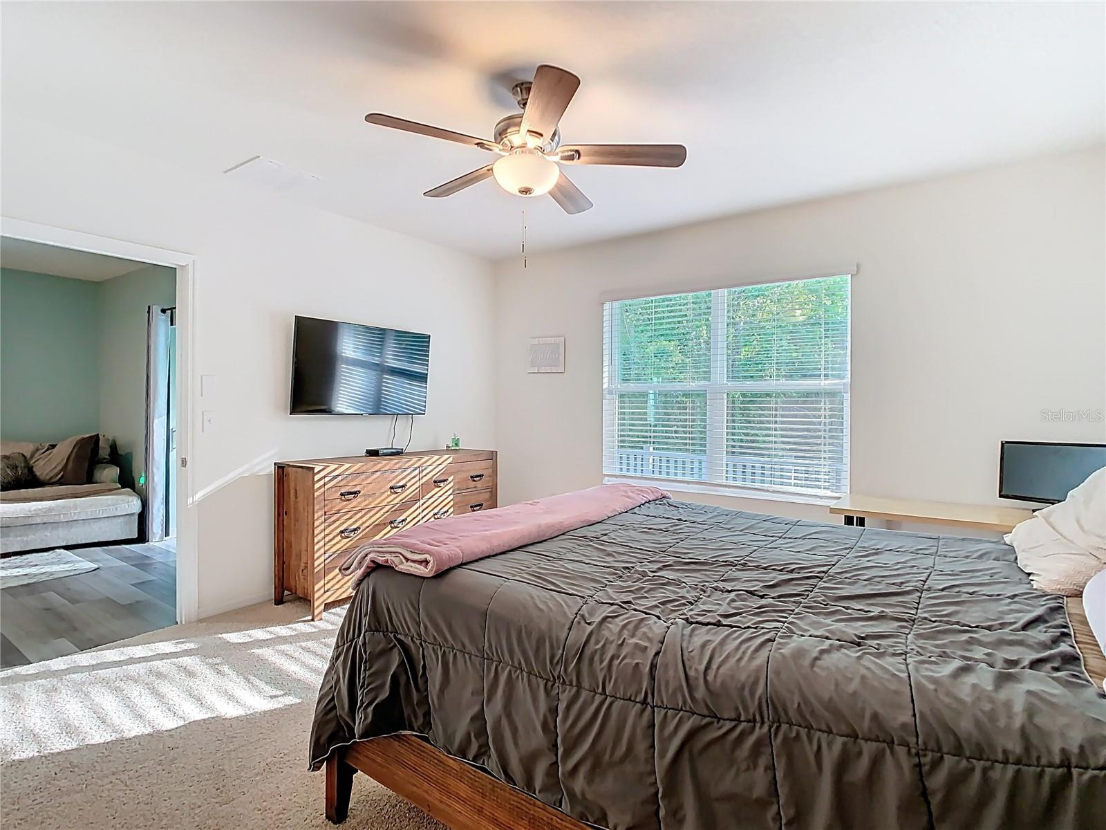 32779 BROOKS HAWK LN, WESLEY CHAPEL, FL, 33543