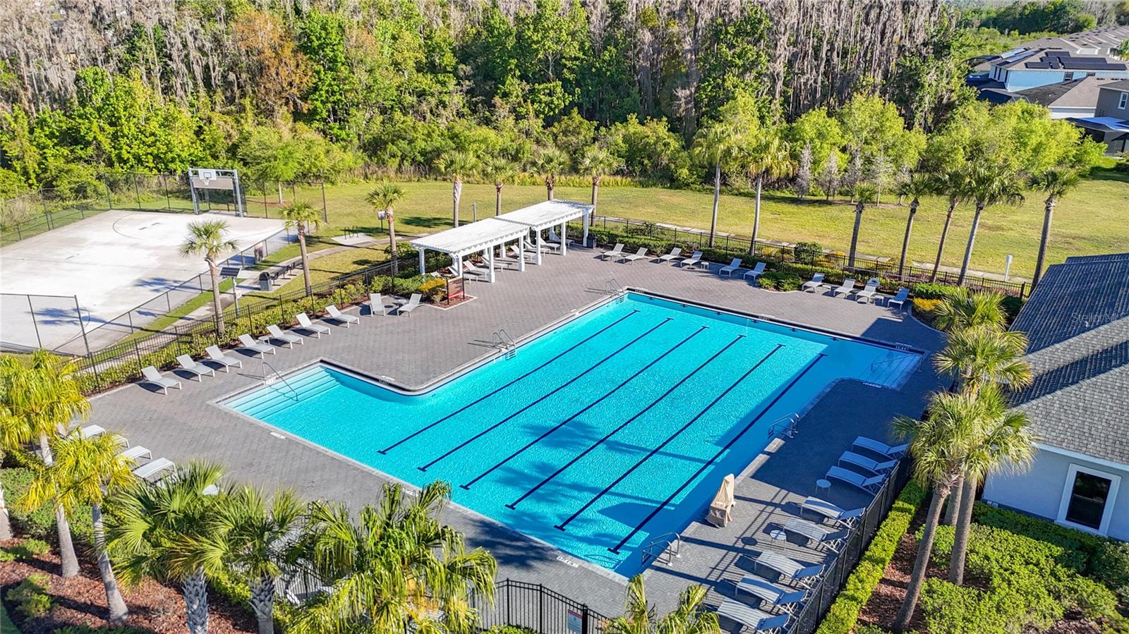 32779 BROOKS HAWK LN, WESLEY CHAPEL, FL, 33543