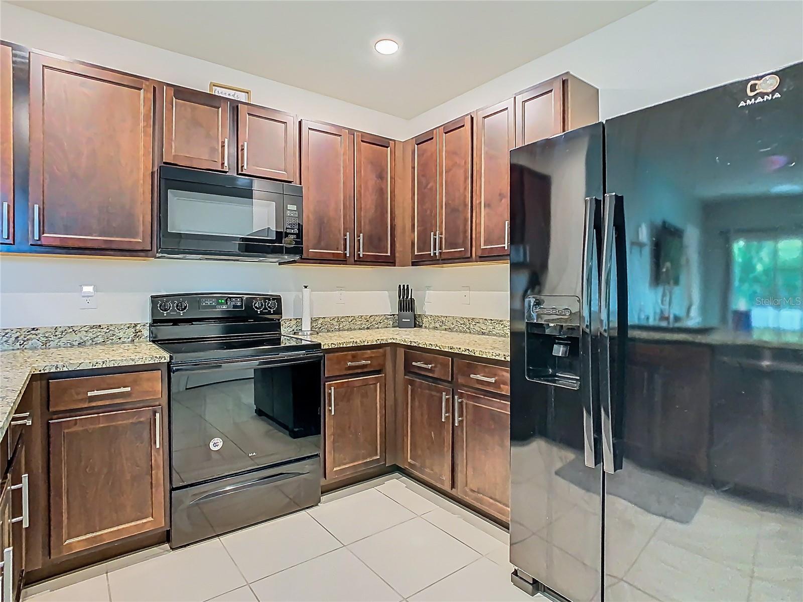 32779 BROOKS HAWK LN, WESLEY CHAPEL, FL, 33543