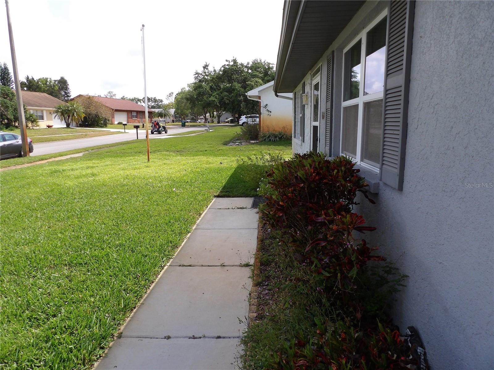 1660 CALEDONIA DR, PALM HARBOR, FL, 34684