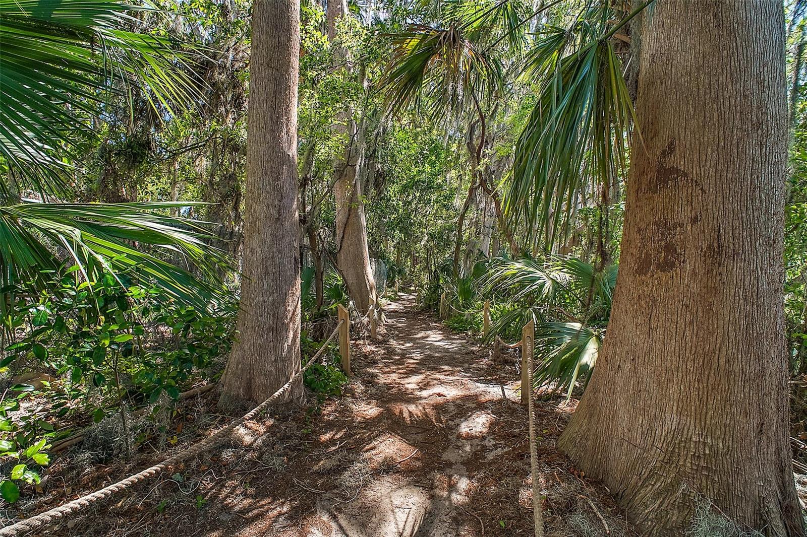 590 SANDLAKE CT, MOUNT DORA, FL, 32757