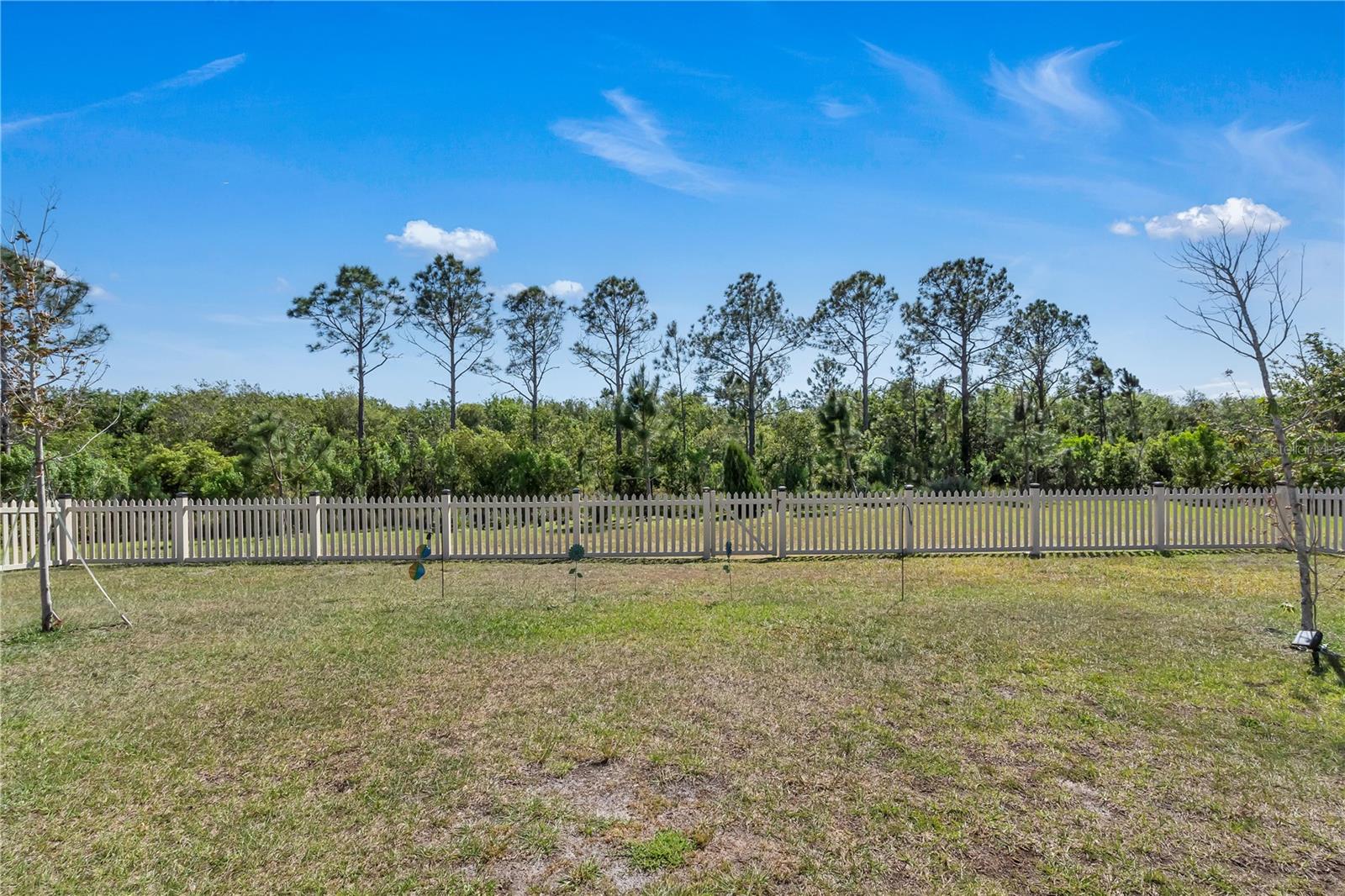 197 PINEYWOODS ST, ST CLOUD, FL, 34772