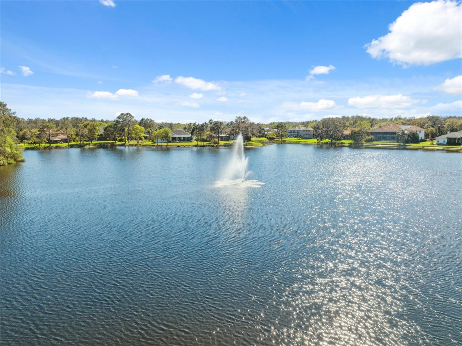 1312 LAKE POLO DR, ODESSA, FL, 33556