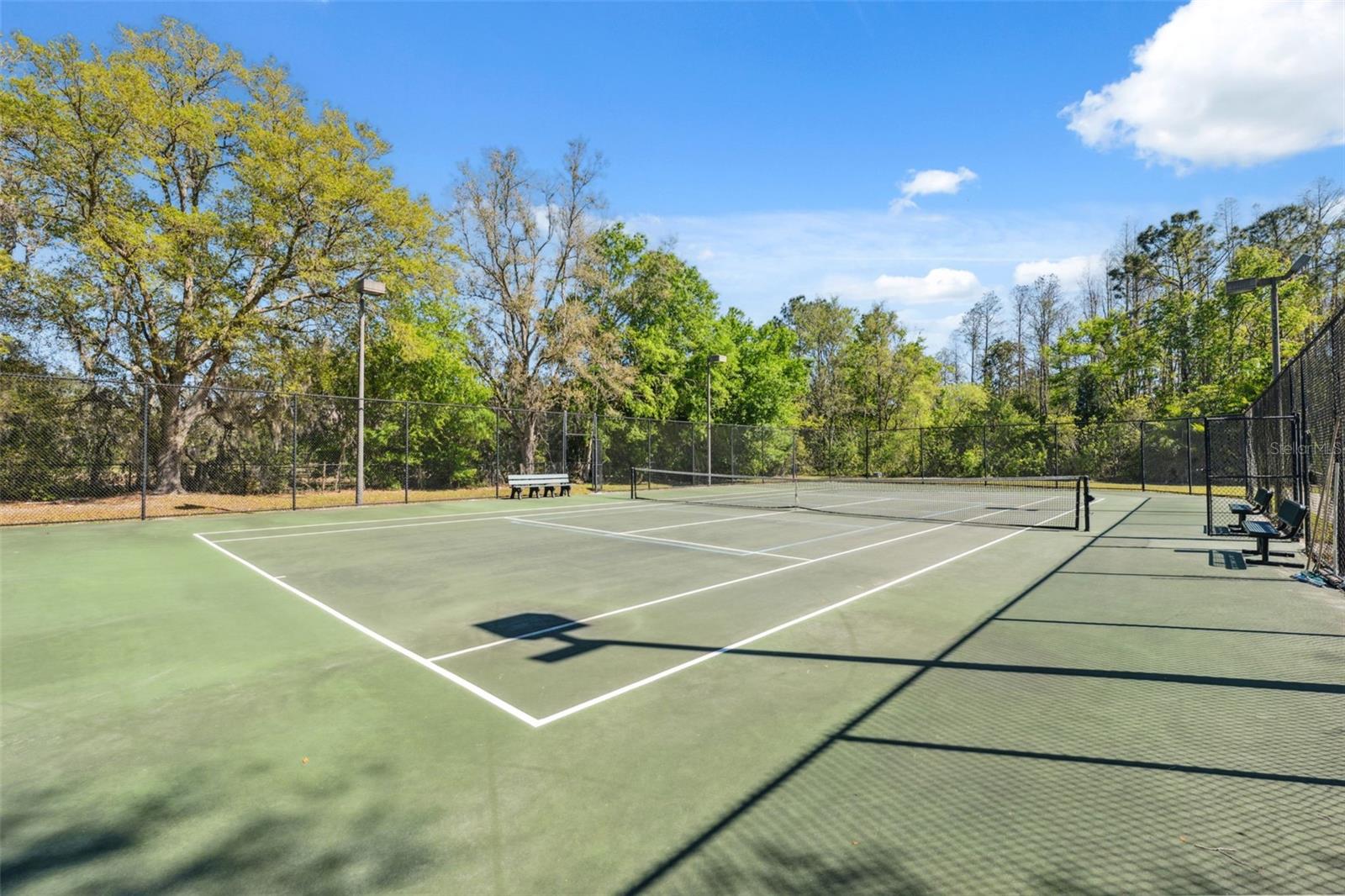 1312 LAKE POLO DR, ODESSA, FL, 33556