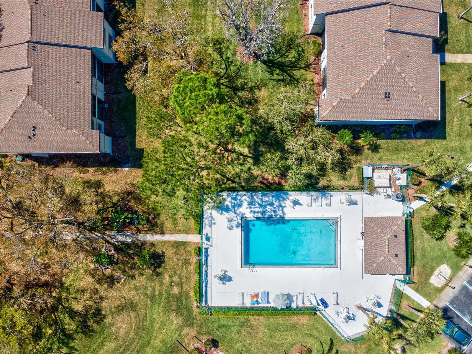 209 MEADOW LN #209, OLDSMAR, FL, 34677