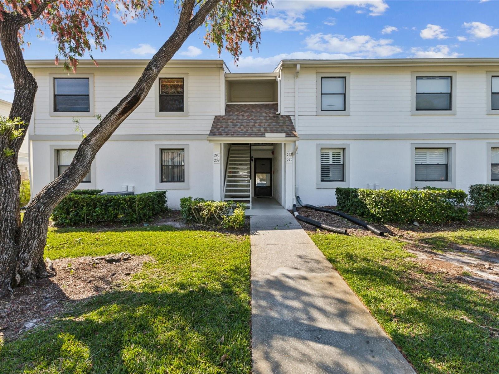 209 MEADOW LN #209, OLDSMAR, FL, 34677