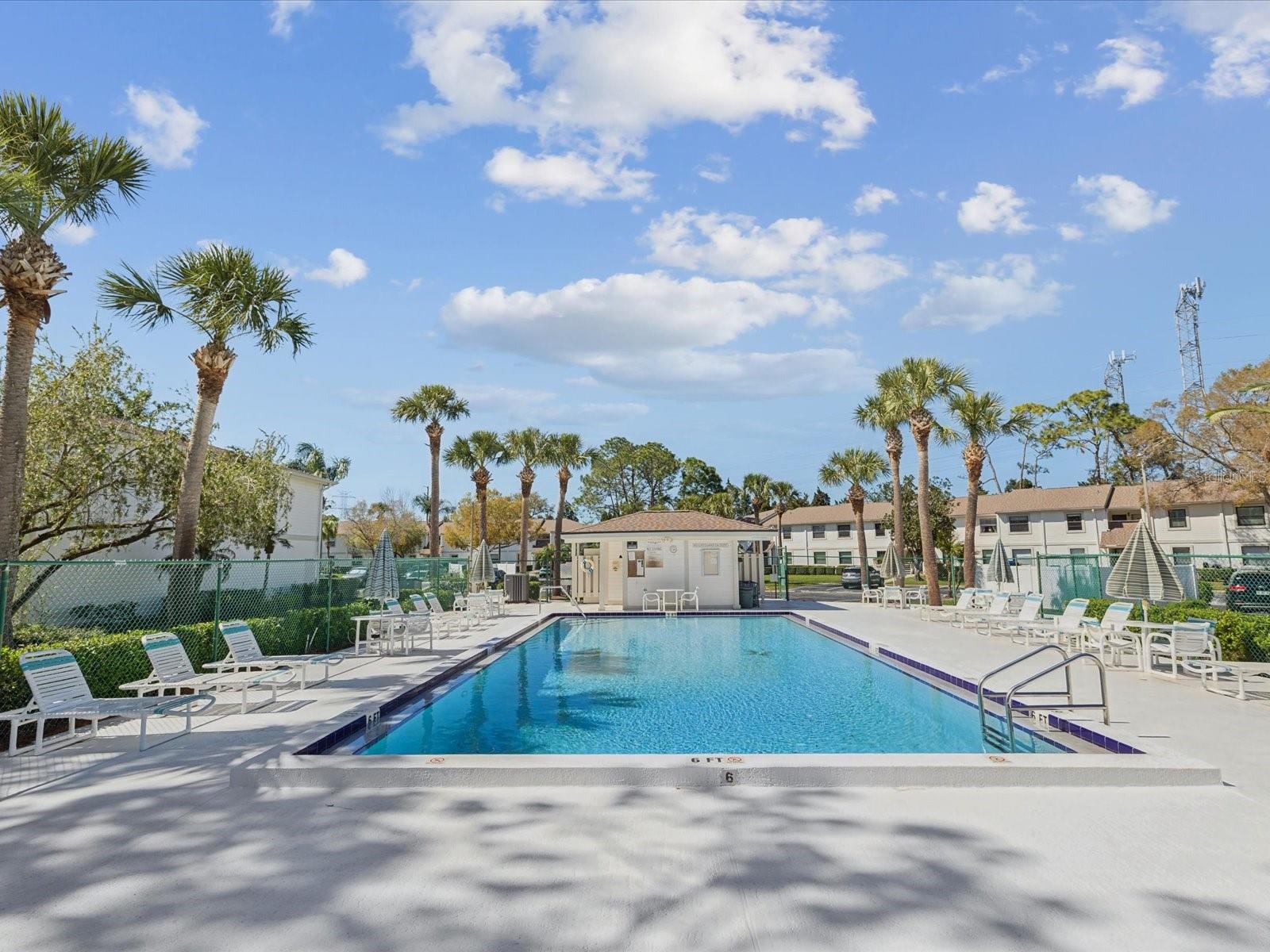 114 MEADOW LN #114, OLDSMAR, FL, 34677