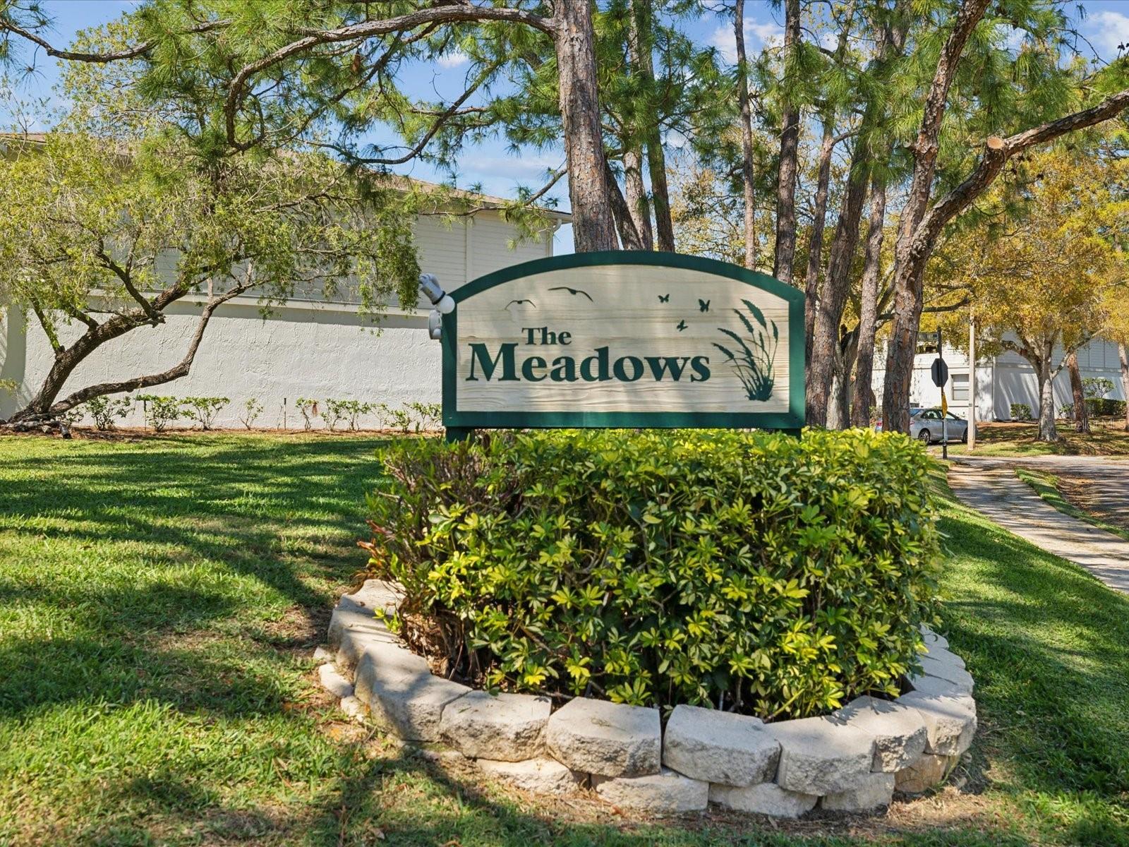 114 MEADOW LN #114, OLDSMAR, FL, 34677