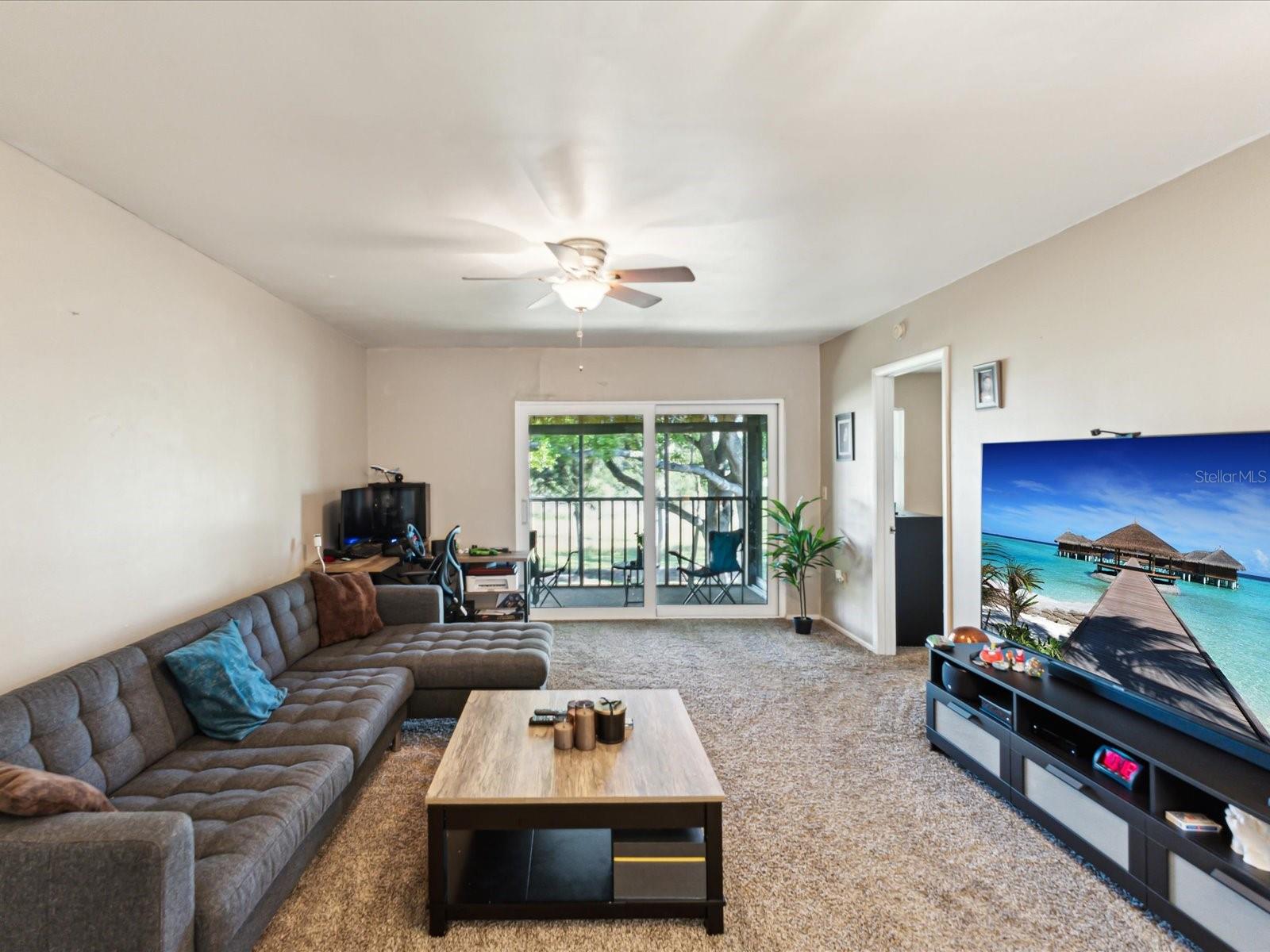 114 MEADOW LN #114, OLDSMAR, FL, 34677