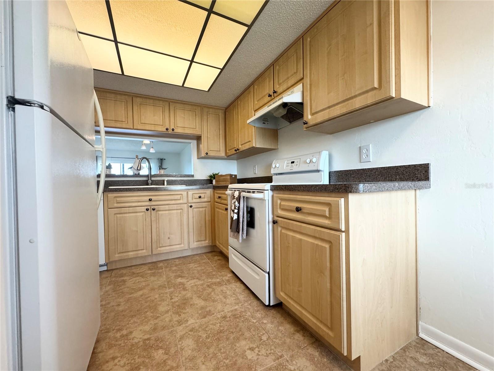 8150 BRENT ST #716, PORT RICHEY, FL, 34668