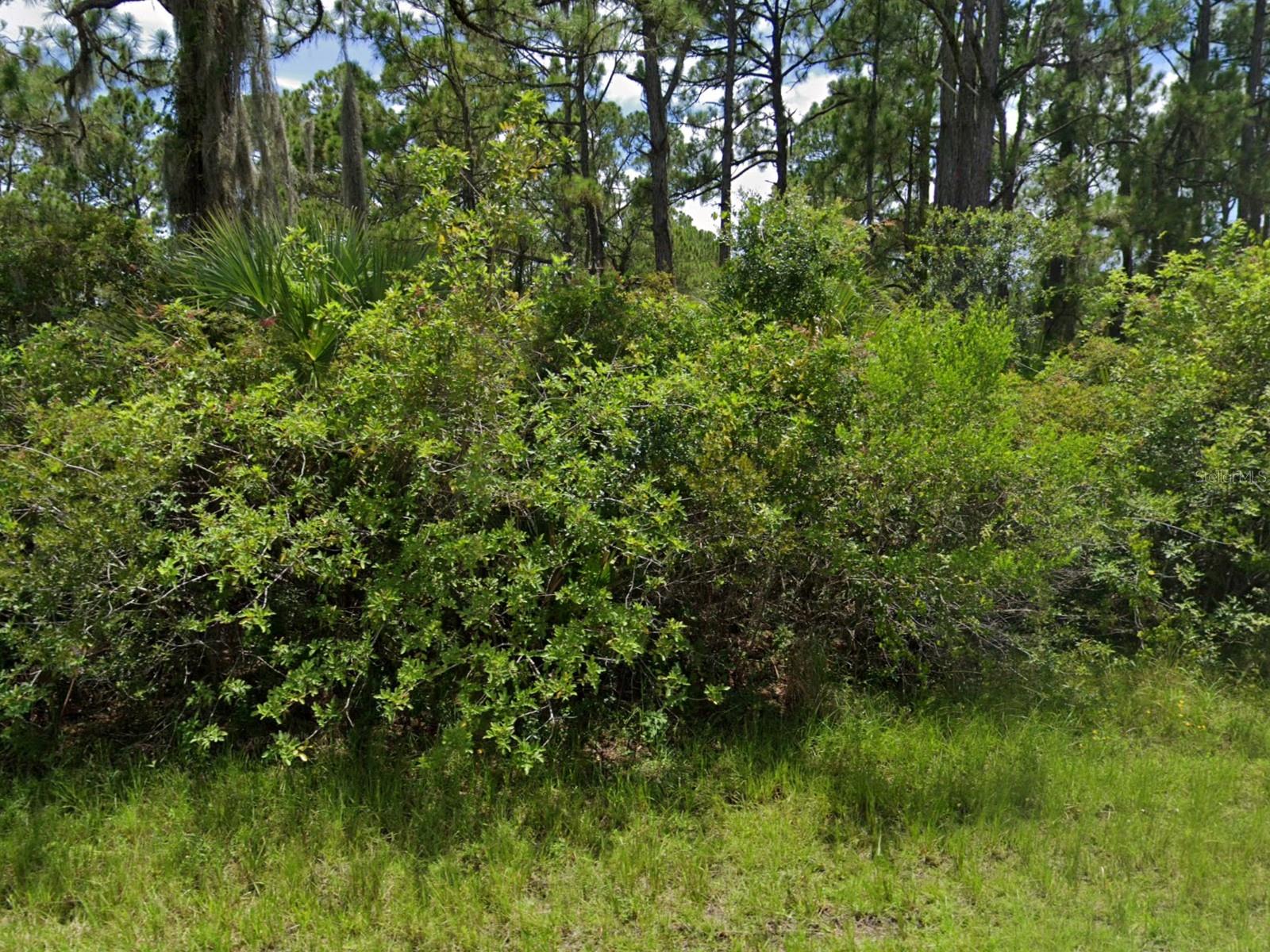 12345 GREENLEAF LN, PORT CHARLOTTE, FL, 33953