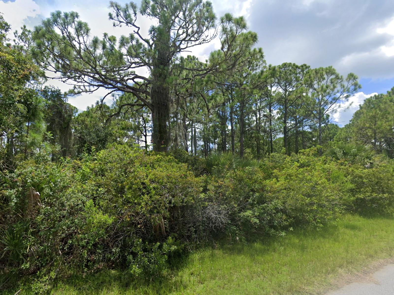 12345 GREENLEAF LN, PORT CHARLOTTE, FL, 33953