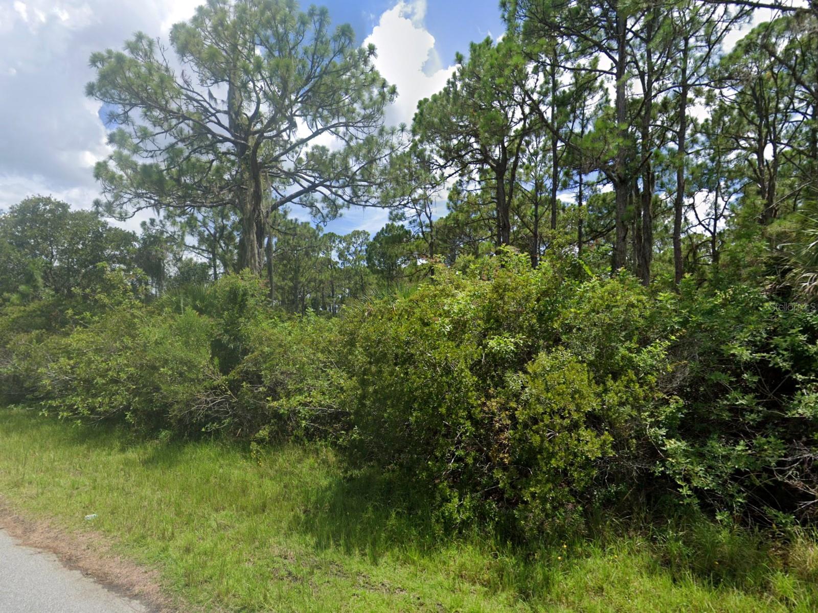 12345 GREENLEAF LN, PORT CHARLOTTE, FL, 33953