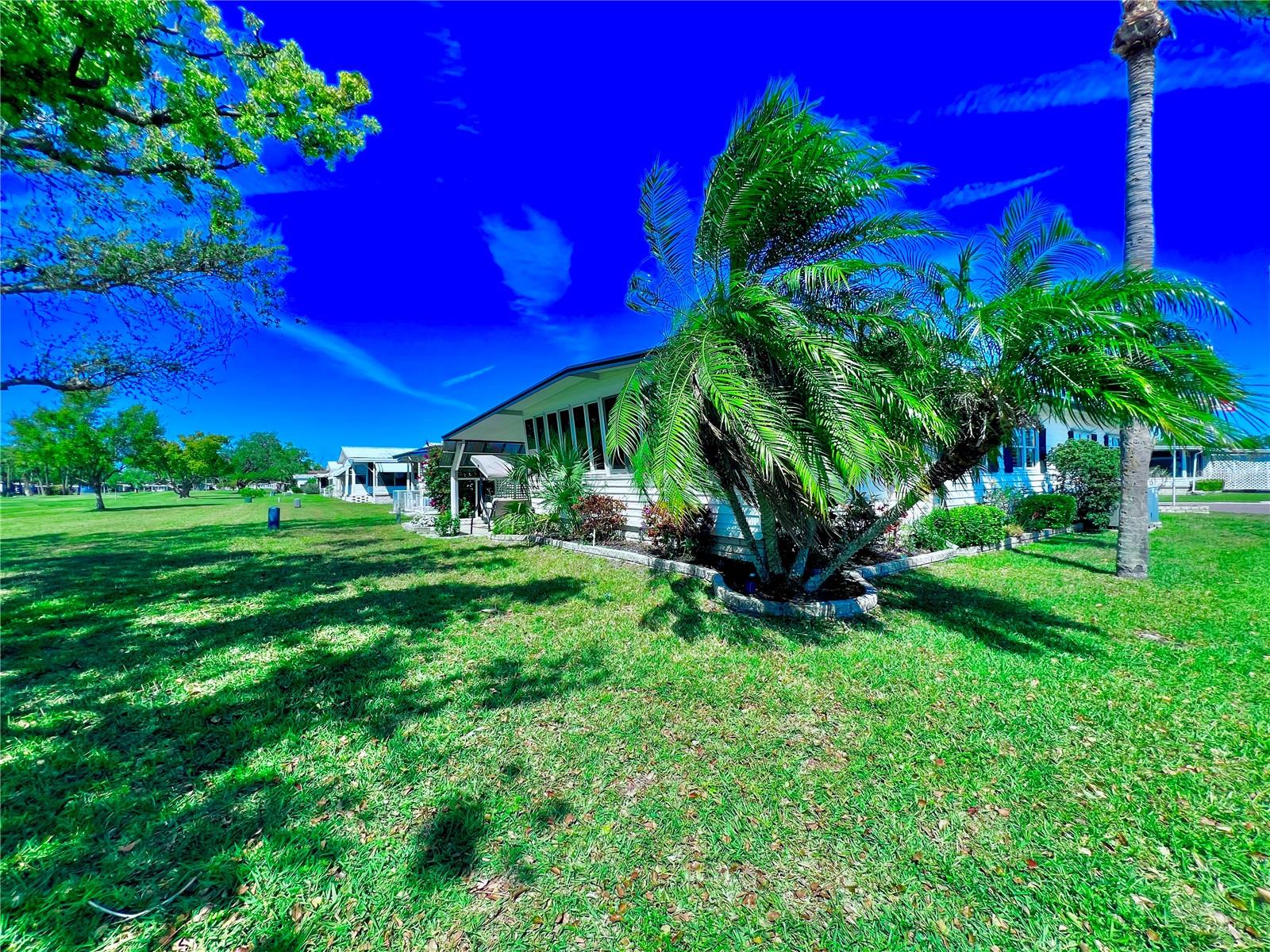 1100 BELCHER RD S #410, LARGO, FL, 33771