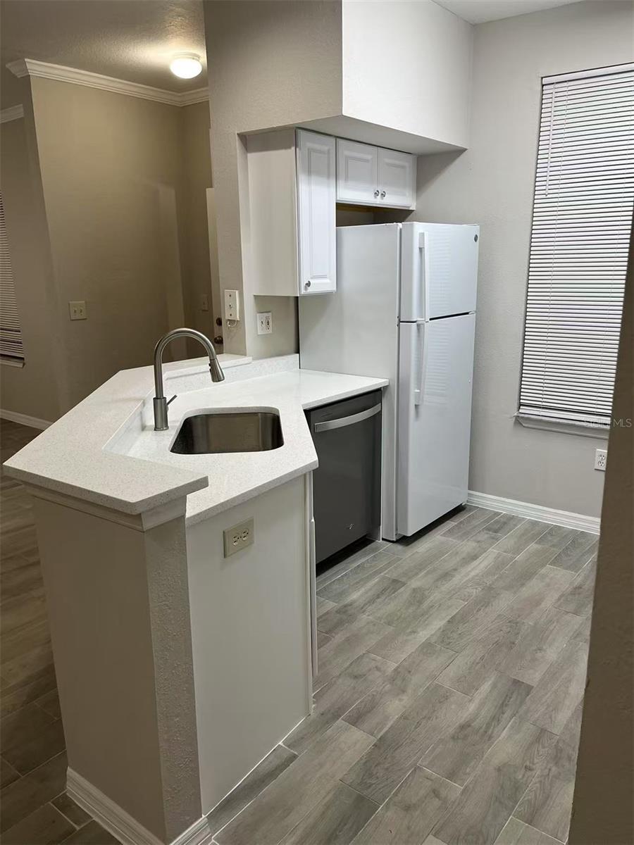 9110 LAKE CHASE ISLAND WAY #9110, TAMPA, FL, 33626