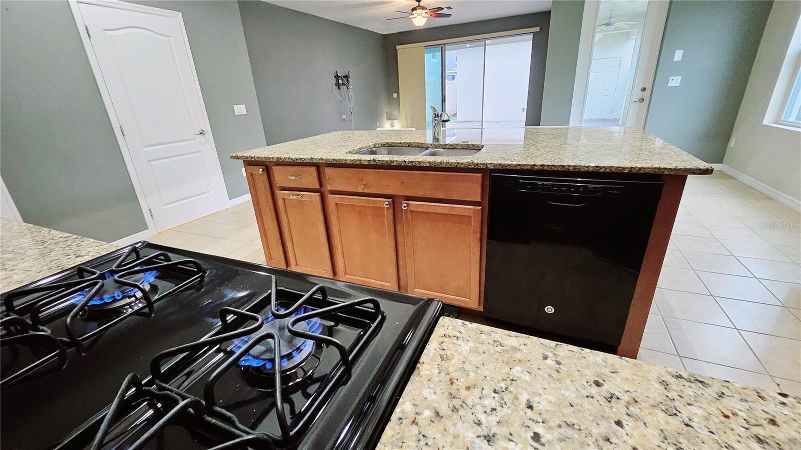 5461 BOWMAN DR, WINTER GARDEN, FL, 34787