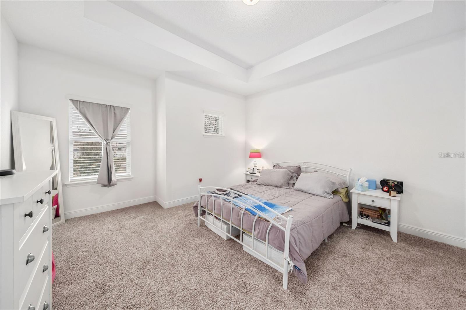9790 AMBER CHESTNUT WAY, WINTER GARDEN, FL, 34787