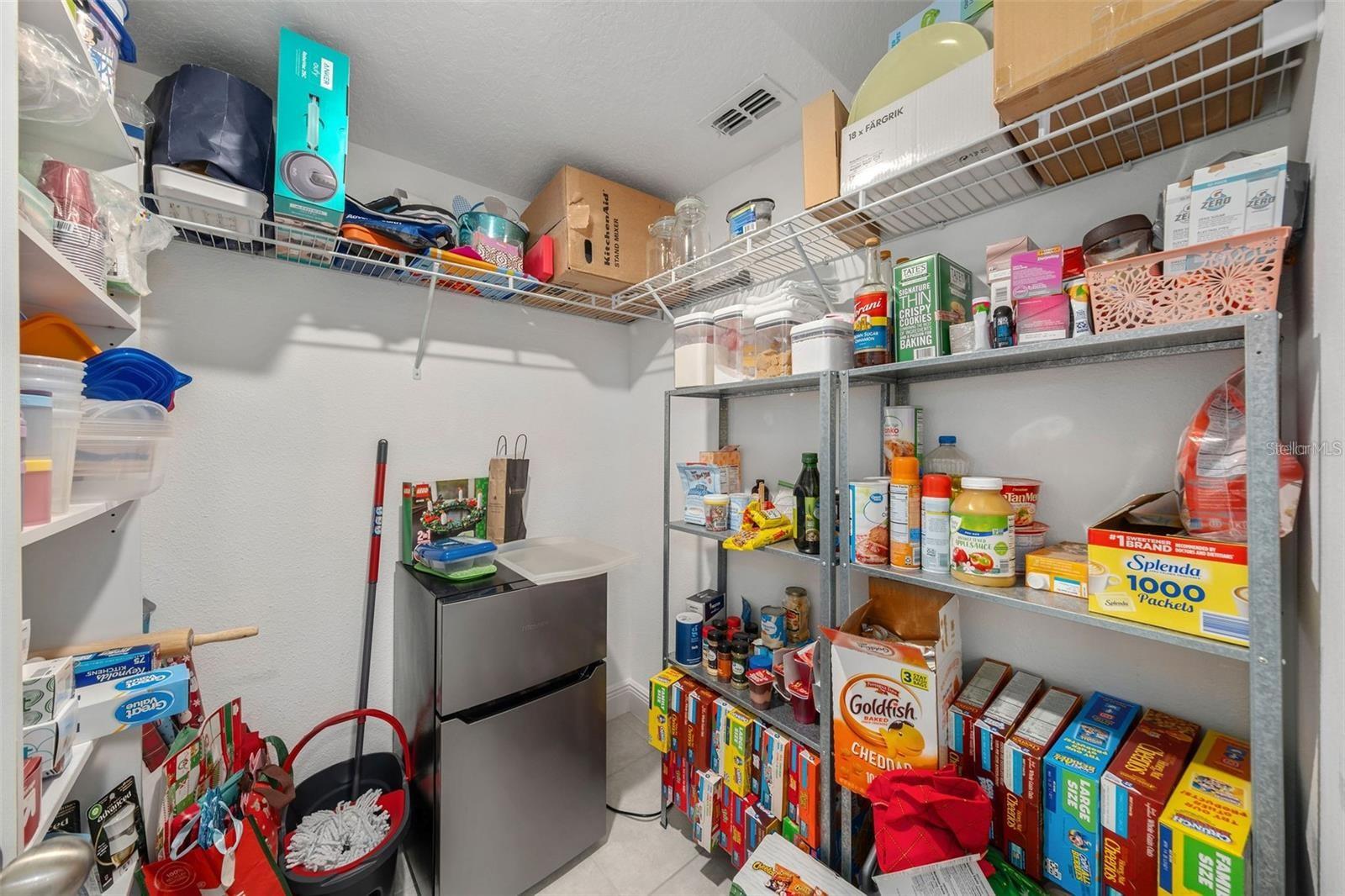 9790 AMBER CHESTNUT WAY, WINTER GARDEN, FL, 34787