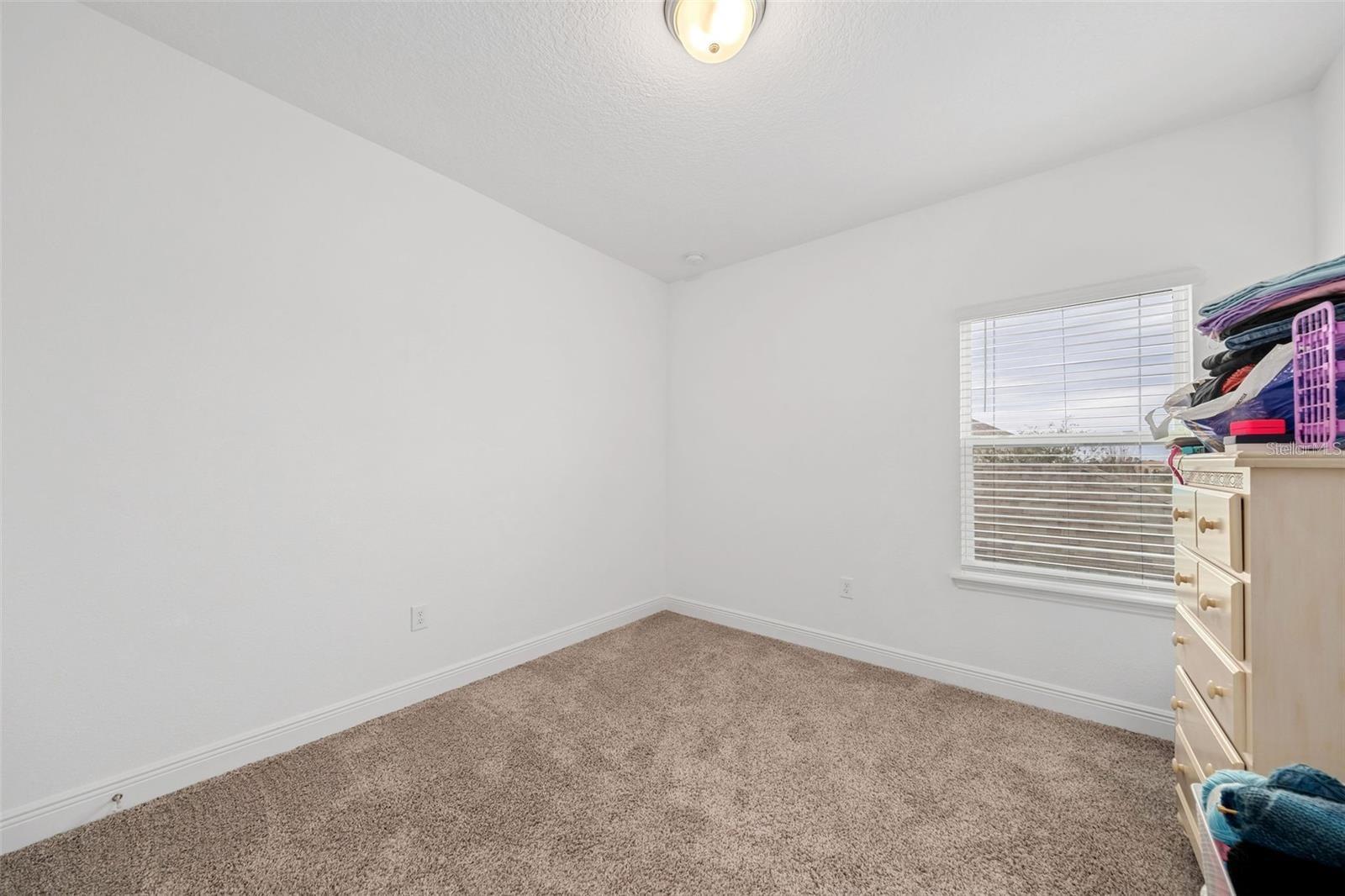 9790 AMBER CHESTNUT WAY, WINTER GARDEN, FL, 34787