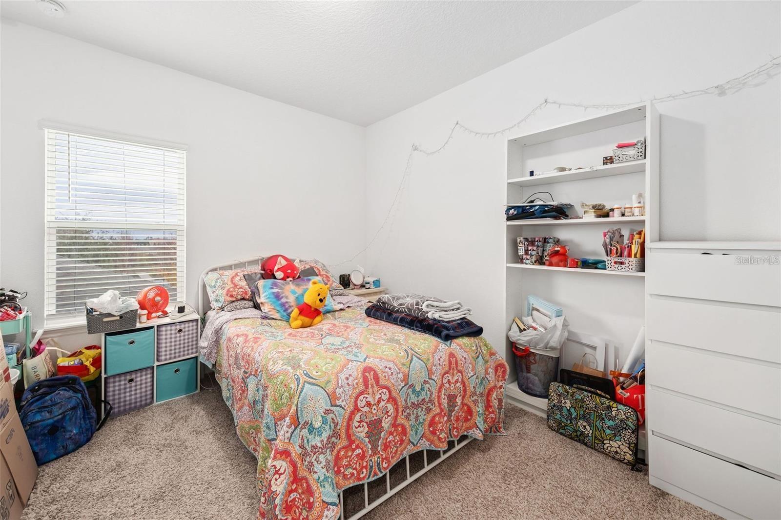 9790 AMBER CHESTNUT WAY, WINTER GARDEN, FL, 34787