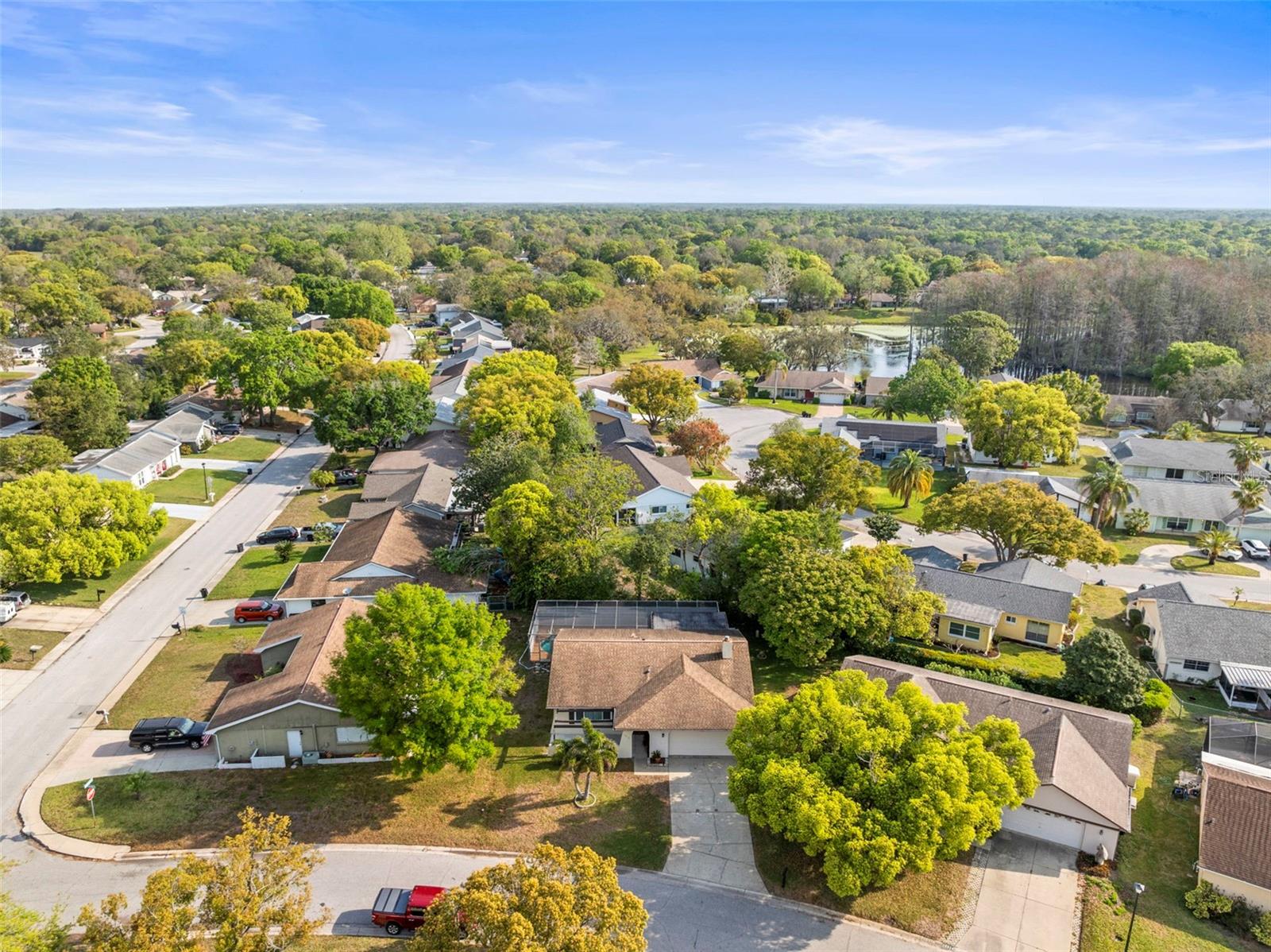 12316 LARKINWOOD LN, HUDSON, FL, 34667