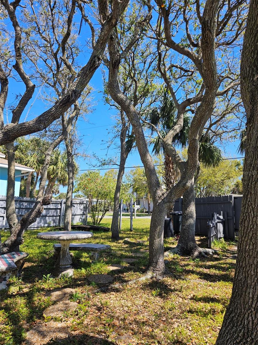 1108 S DAYTONA AVE, FLAGLER BEACH, FL, 32136