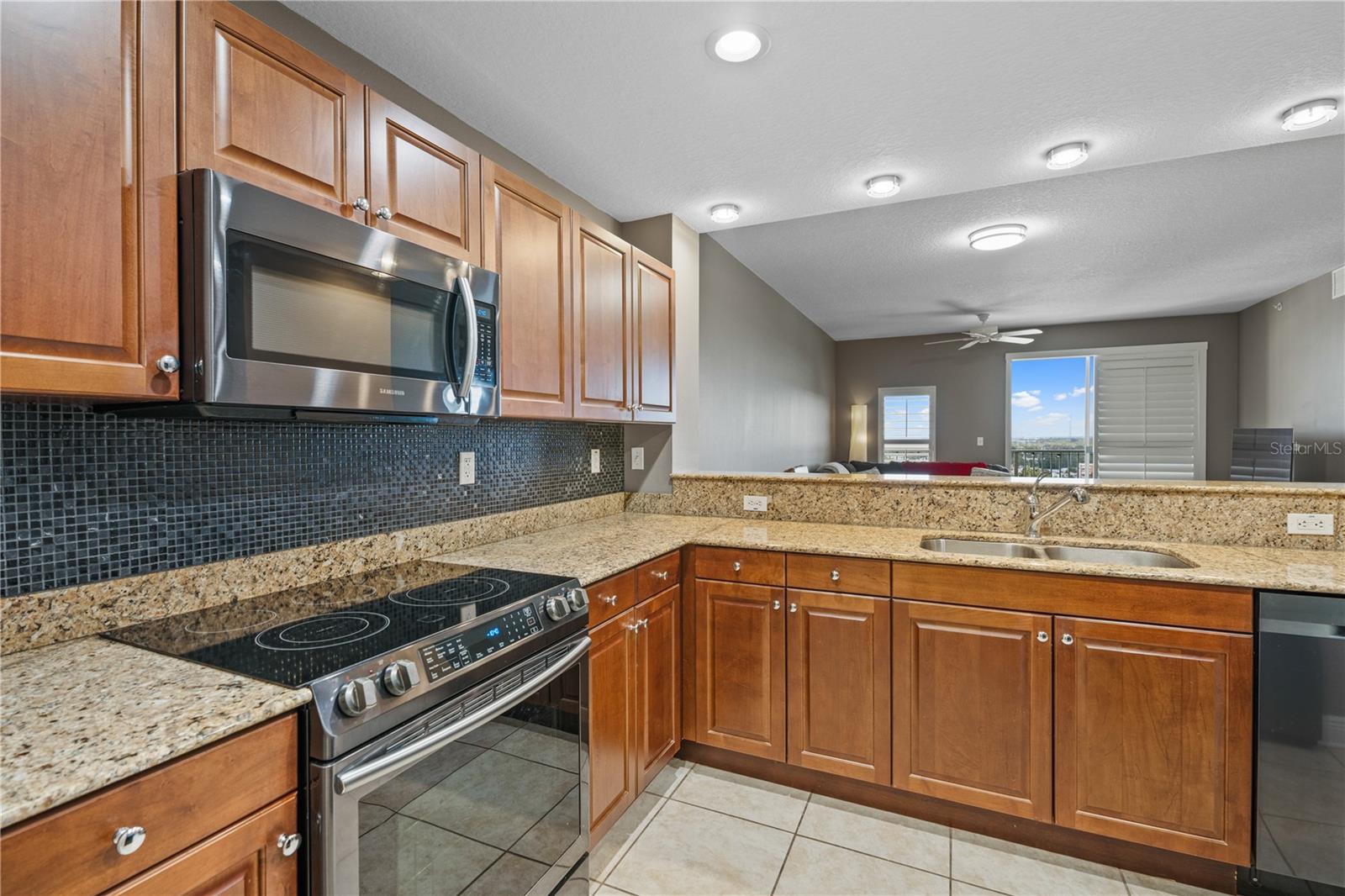 628 CLEVELAND ST #1208, CLEARWATER, FL, 33755