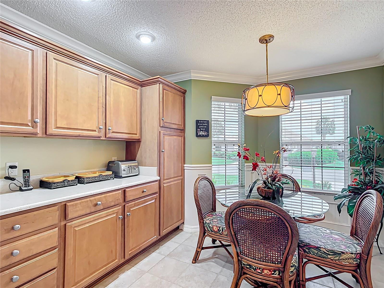 2124 WESTCHESTER WAY, THE VILLAGES, FL, 32162