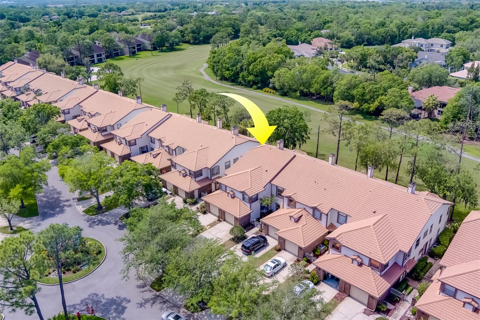 1258 CLAYS TRL #1258, OLDSMAR, FL, 34677