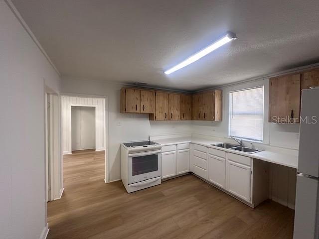 3100 E MOODY BLVD, BUNNELL, FL, 32110