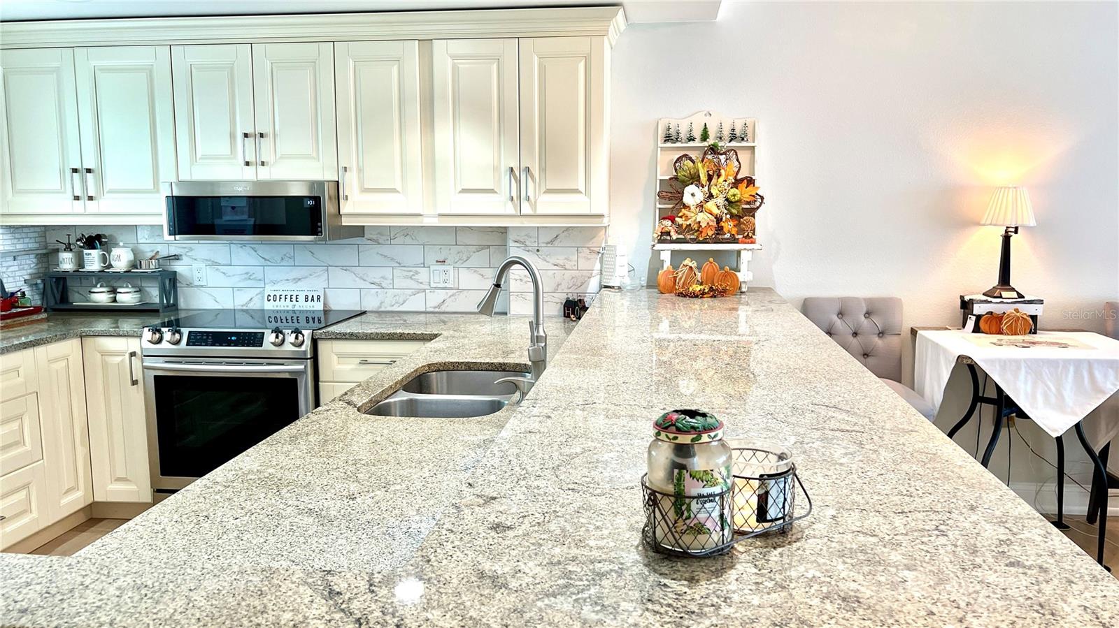 10215 REGAL DR #19, LARGO, FL, 33774