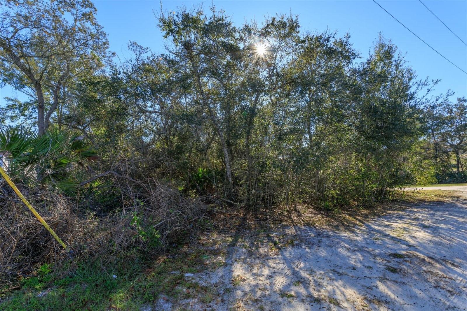 CHESTNUT AVE, ORANGE CITY, FL, 32763