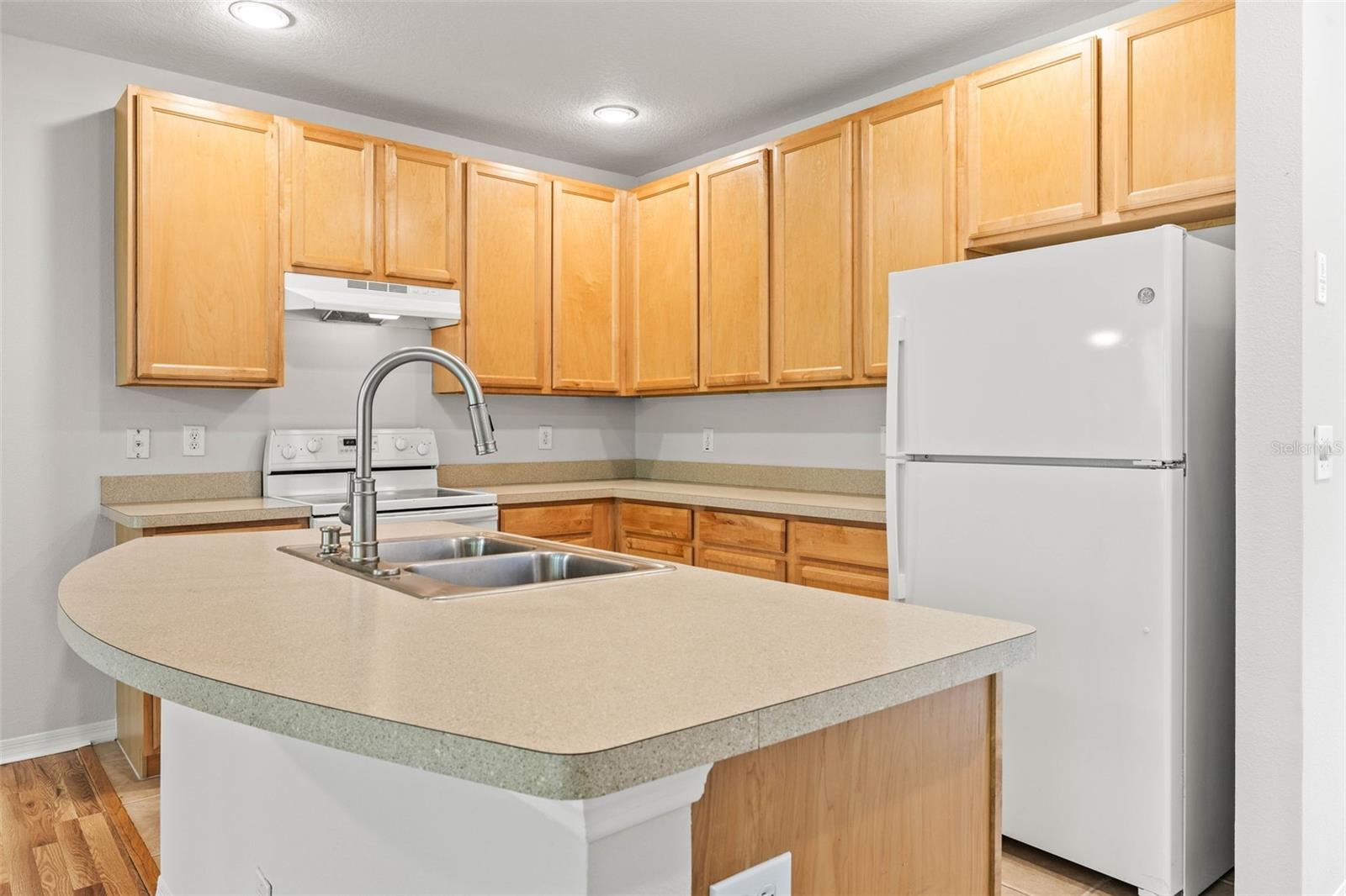 30103 MOSSBANK DR, WESLEY CHAPEL, FL, 33543