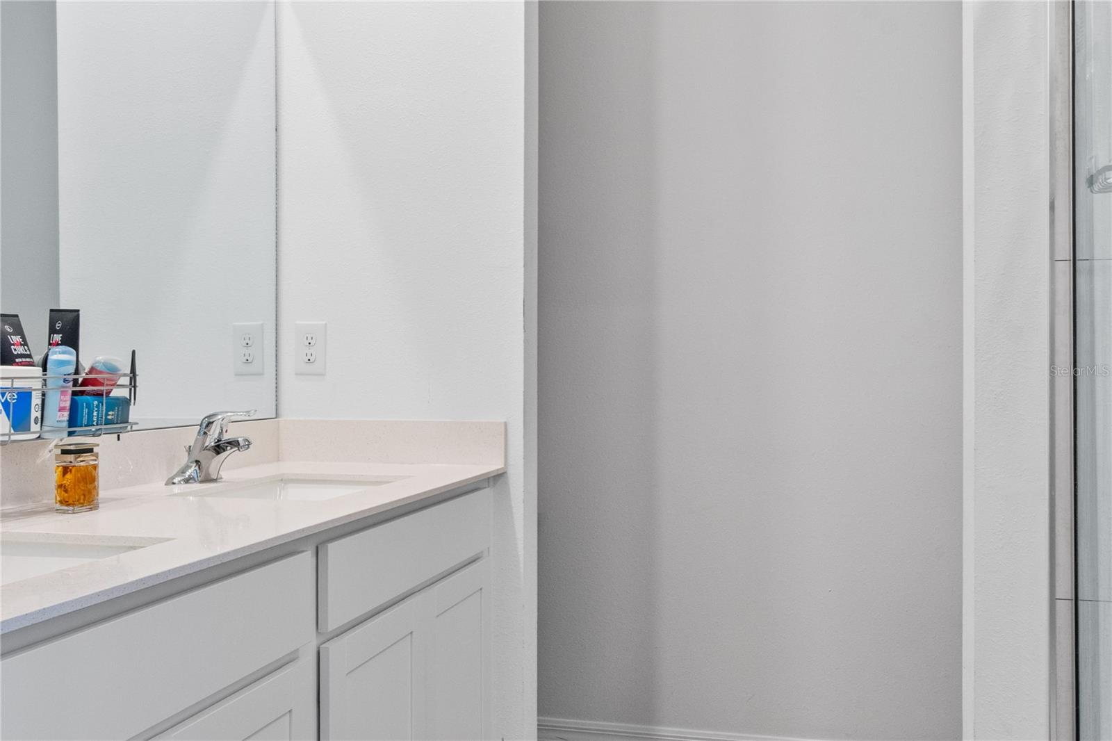 4316 CARRABELLE RIVER LN, LAKELAND, FL, 33811