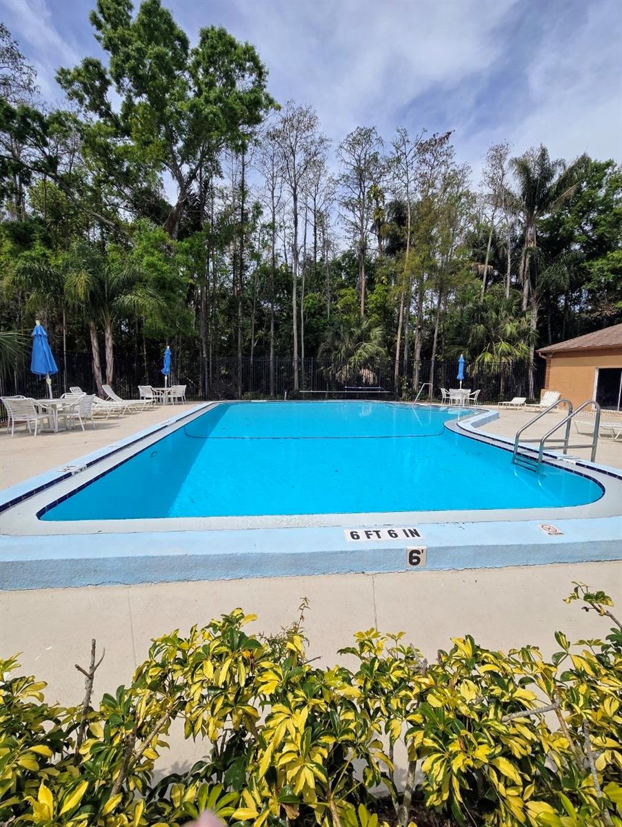 3601 PLAYER DR, NEW PORT RICHEY, FL, 34655
