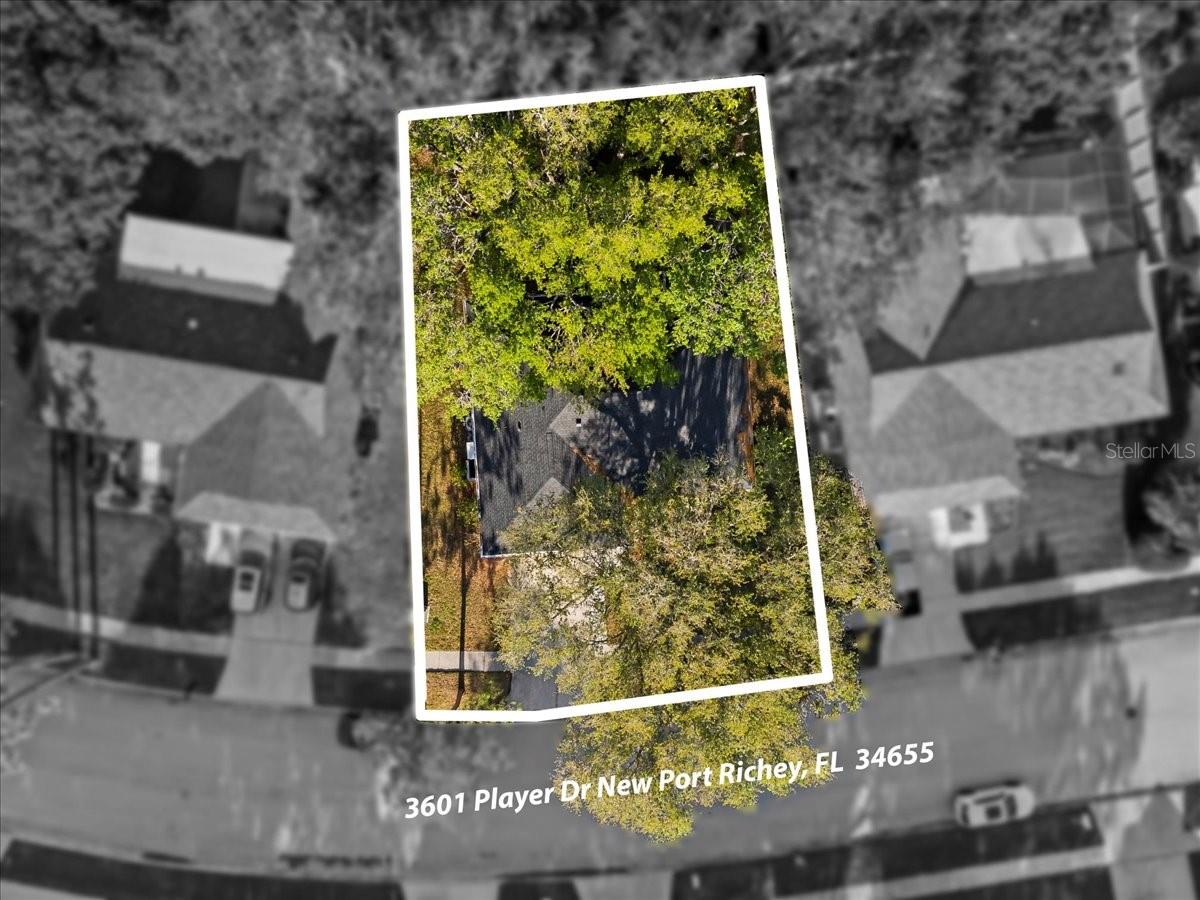 3601 PLAYER DR, NEW PORT RICHEY, FL, 34655