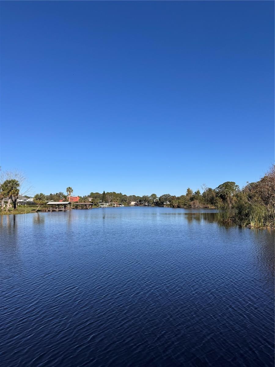 3409 LAKE DIANE RD, TAVARES, FL, 32778