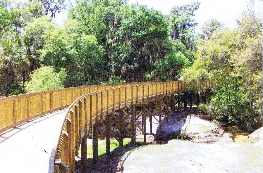 16313 BRIDGECROSSING DR, LITHIA, FL, 33547