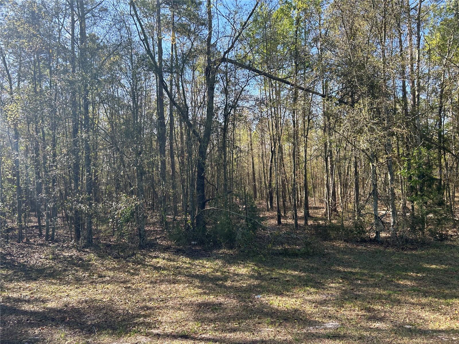 US HWY 129, O'BRIEN, FL, 32071